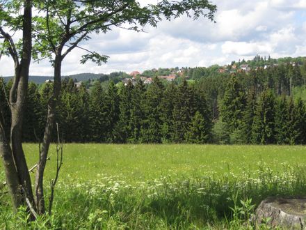 Zusehen sind ein paar Häuser und Wiesen uns Wälder.